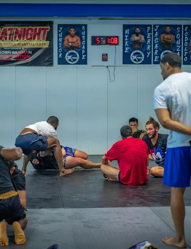 Professional MMA cage and training mats at BigB MMA